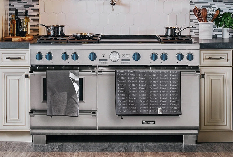 Einstein Dish Towel/Tea Towel