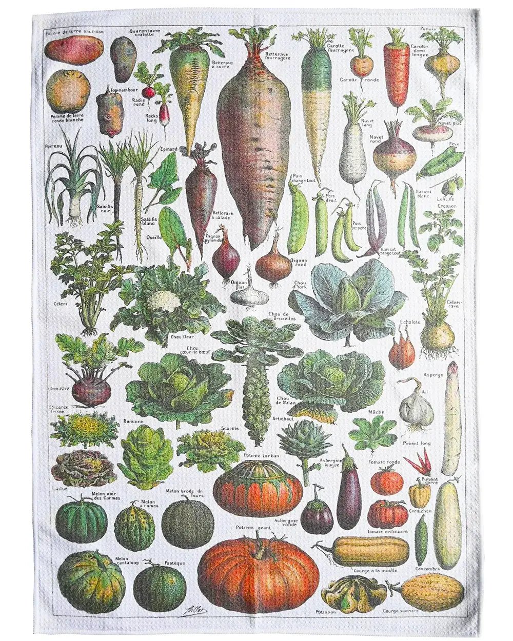 French Vegetables Tea Towel - JONESY & JONESY