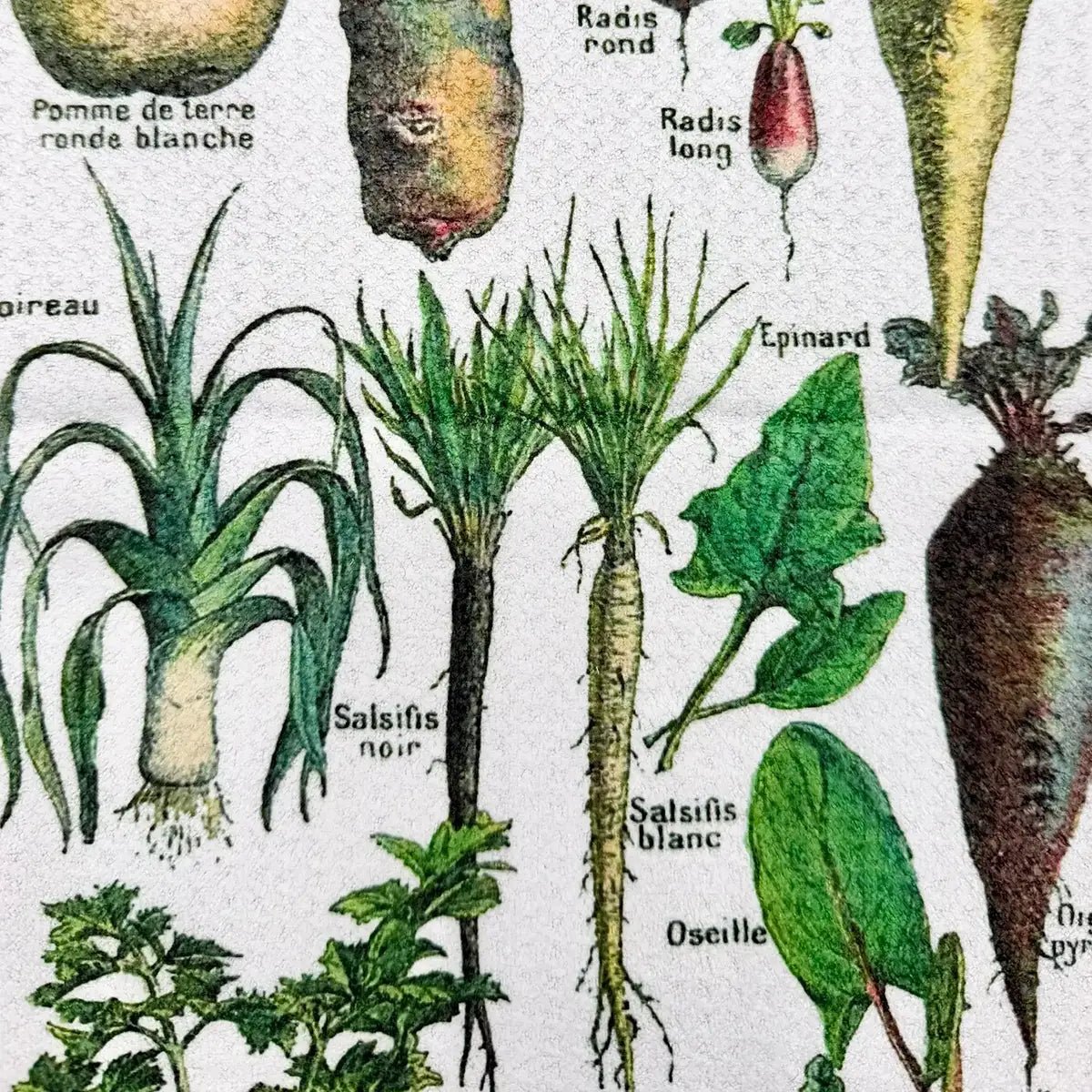 French Vegetables Tea Towel - JONESY & JONESY