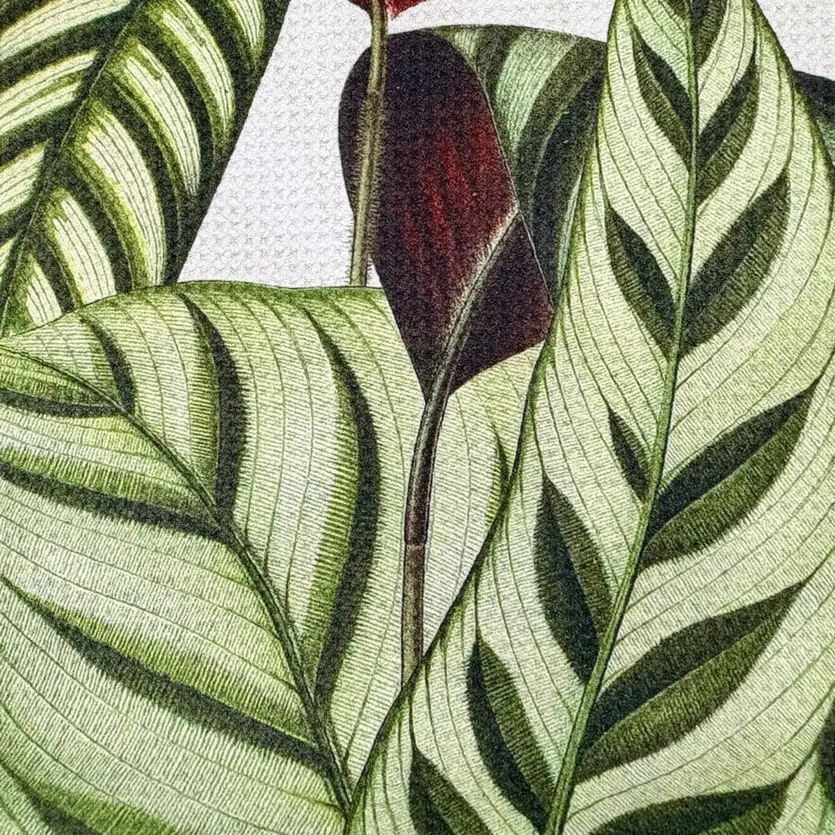 Indoor Plant Tea Towel - JONESY & JONESY
