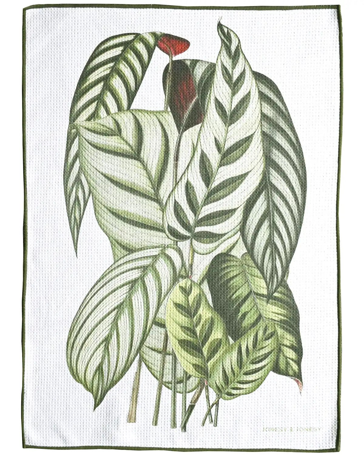 Indoor Plant Tea Towel - JONESY & JONESY