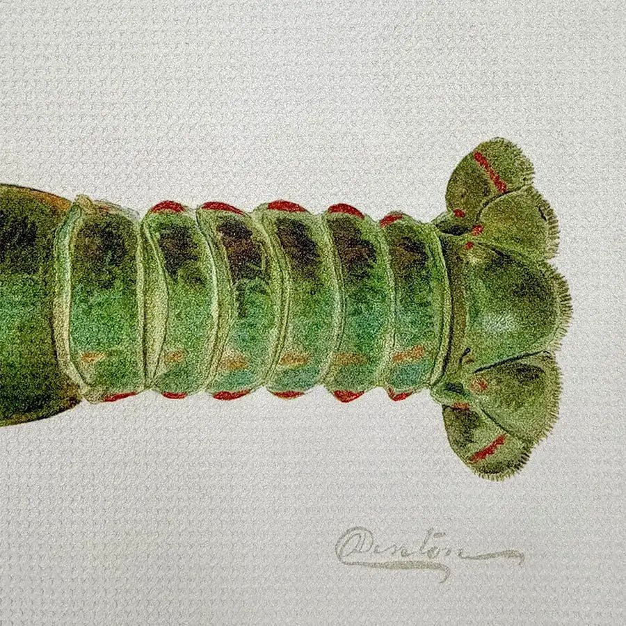 Lobster Tea Towel - JONESY & JONESY