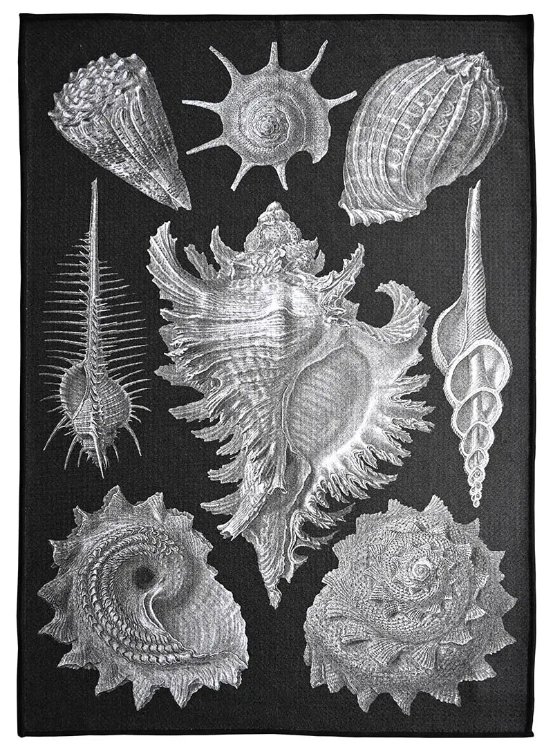 Sea Shell Tea Towel - JONESY & JONESY